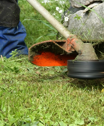 Grünanlagenpflege Dortmund – Pflege von Profis | Bertels OHG